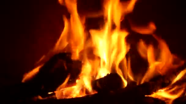 Offenes Feuer — Stockvideo