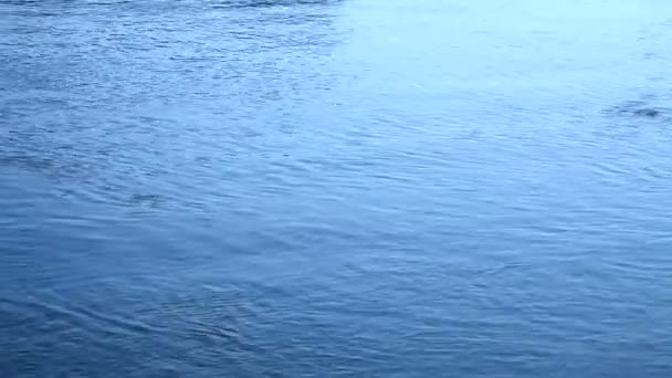 Поверхность воды — стоковое видео