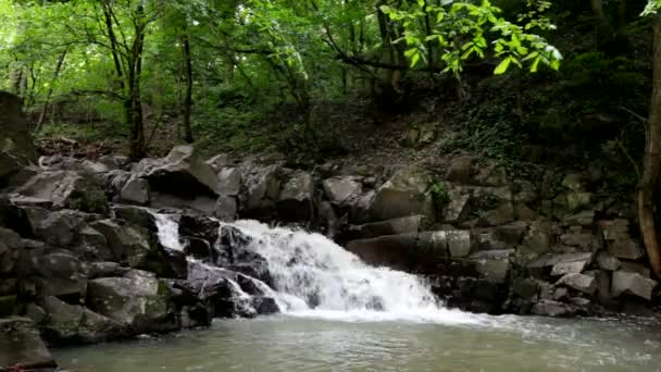 Cachoeira — Vídeo de Stock