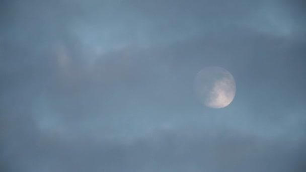 Lune
