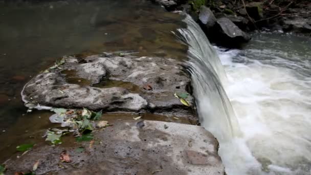 Cachoeira — Vídeo de Stock