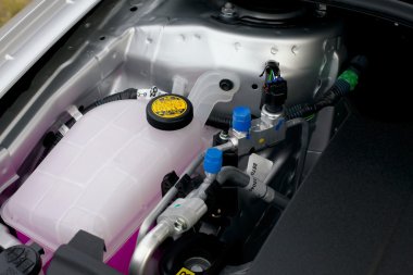 Motor