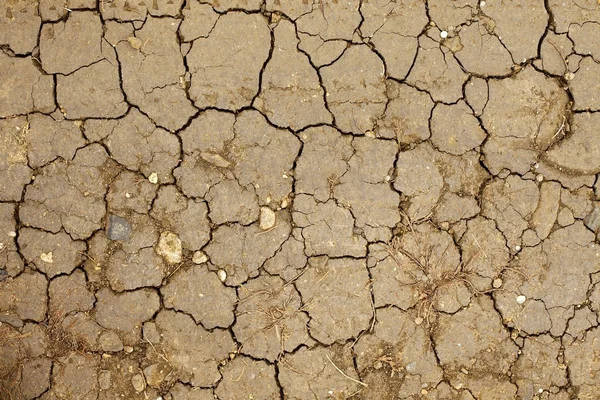 Tierra seca — Foto de Stock