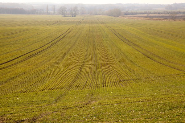 Landwirtschaft — Stockfoto