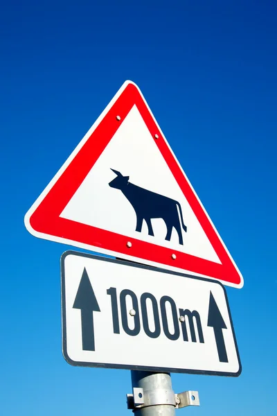 Signo de vaca — Foto de Stock