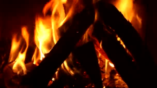 Oheň — Stock video