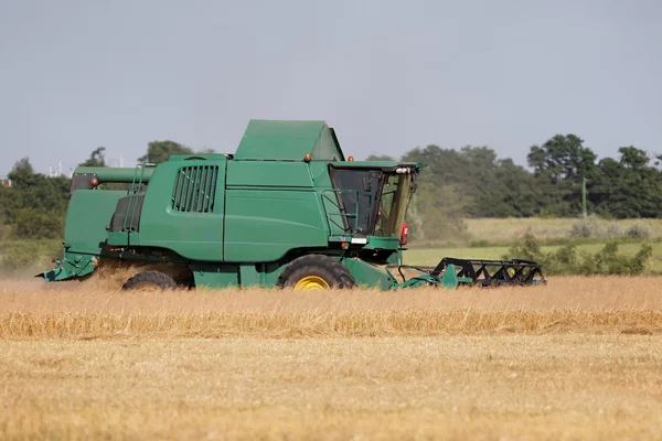 Harvesting — Stock Photo, Image