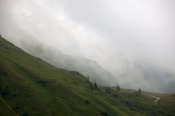 Foggy montagnes — Photo