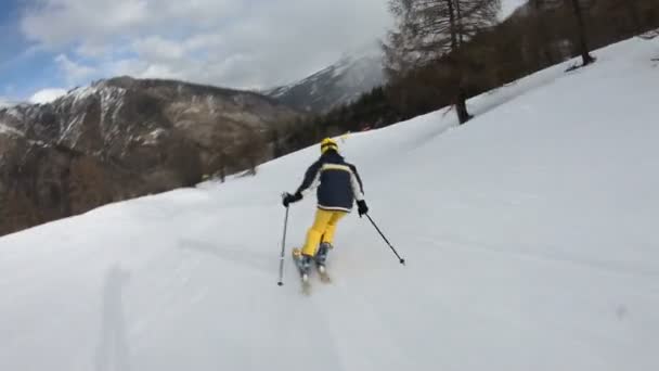 Катання на лижах — стокове відео