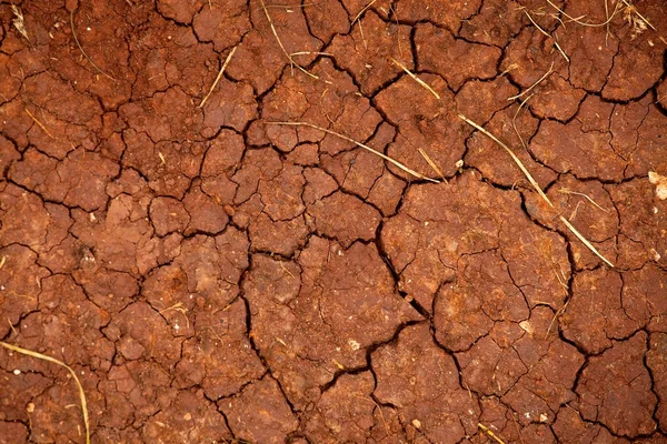 Sucha gleba — Zdjęcie stockowe