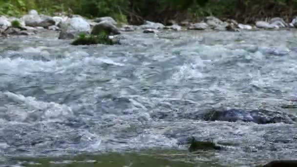 ruisseau