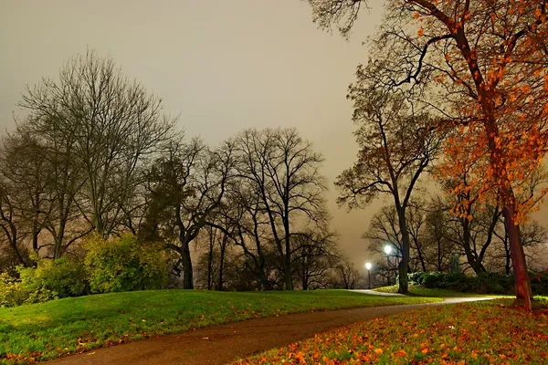 Autumn park — Stock Photo, Image