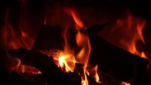 Offenes Feuer — Stockvideo