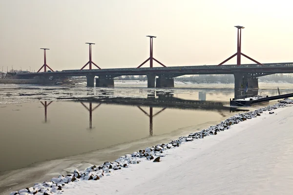 Danubio de invierno — Foto de Stock