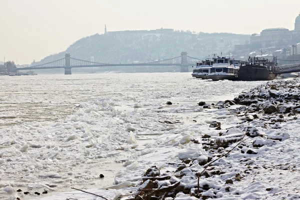 Взимку Дунаю — стокове фото