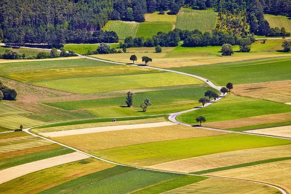 Archivados — Foto de Stock