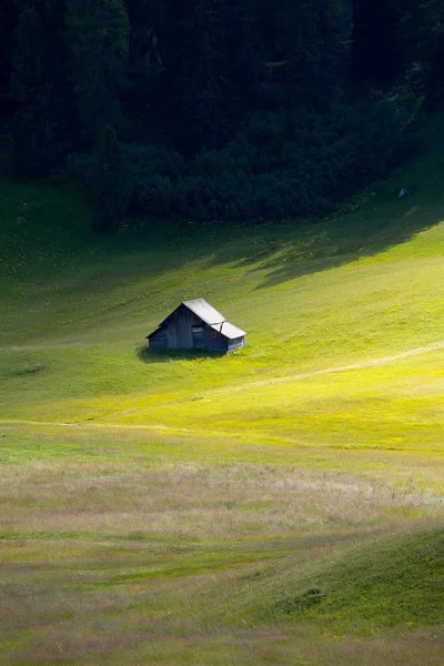 Alpine Field — Stock Photo, Image