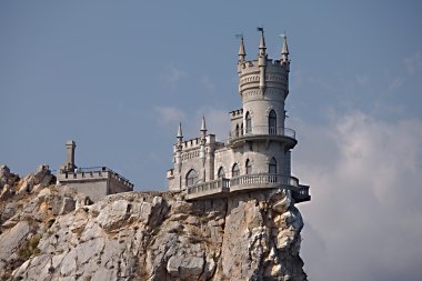 Kırlangıç yuva