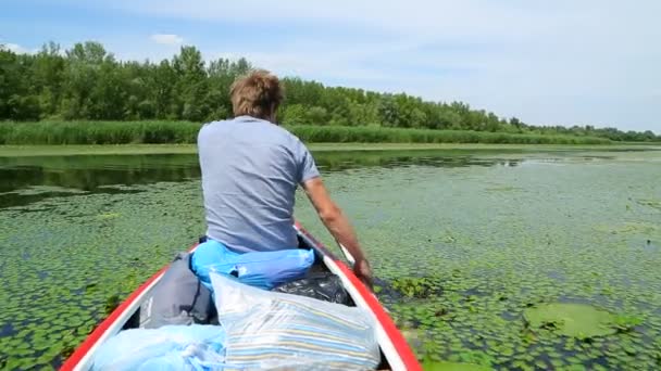 Canoeing — Stock Video