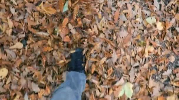 Umgestürzte Herbstblätter in Zeitlupe getreten — Stockvideo