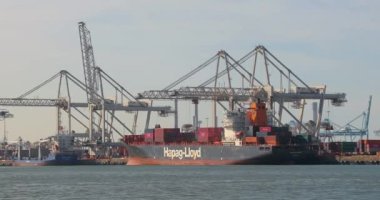 Rotterdam Limanı 'nda konteyner gemileri