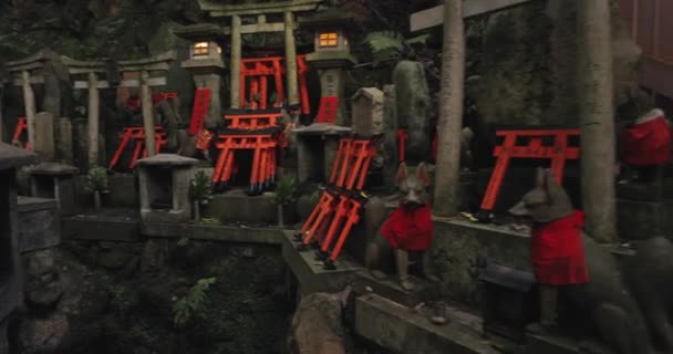 Fushimi Inari Taisha torii gate — Video Stock