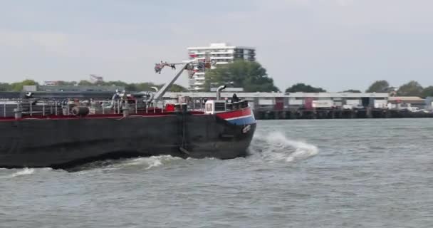 Rotterdam 'da kargo gemisi taşıyıcısı. — Stok video