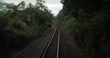 Küçük bir Japon kasabasına tren yolculuğu, kırsal demiryolu hattı.