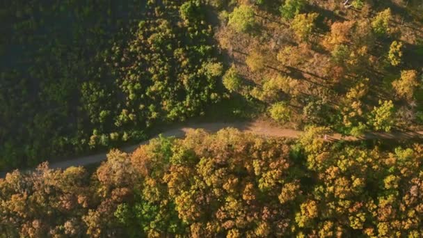 Coloridas colinas de floresta de outono com caminho para caminhadas — Vídeo de Stock