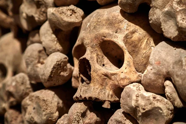 Pared Huesos Cráneos Humanos Una Catacumba — Foto de Stock
