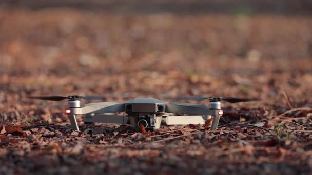 Drone blowing autumn leaves at takeoff — Stock Video