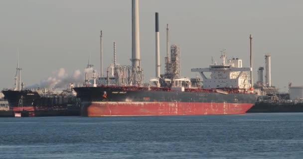 Petrol limanı siloları, petrol terminali, tanker gemileri — Stok video