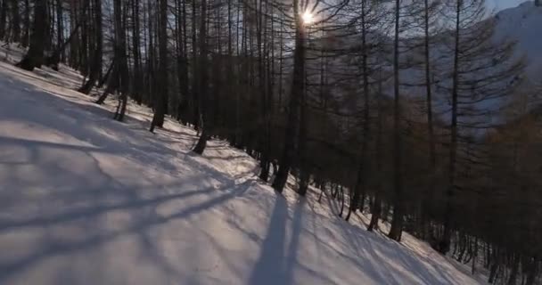 在森林里滑行 — 图库视频影像