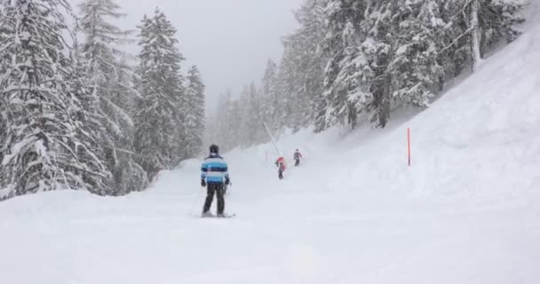 Skidåkning i fallande snö — Stockvideo