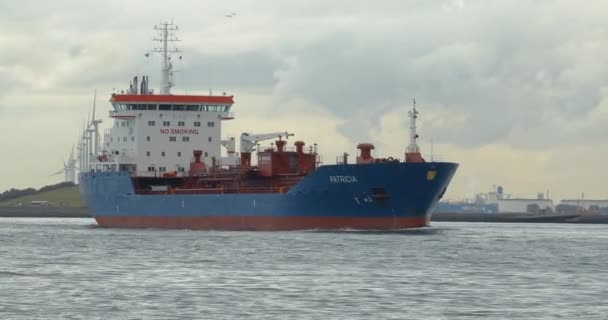 Tankfartyg i Rotterdams hamn — Stockvideo