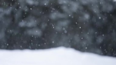 Arka planda düşen kar ağacı