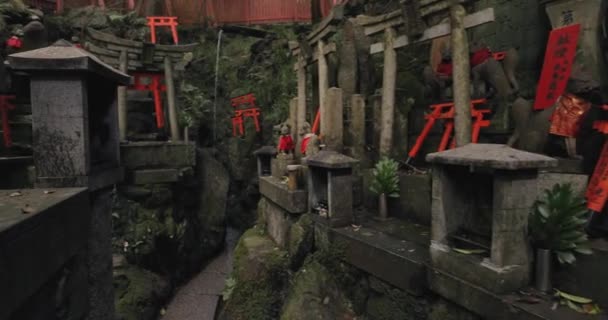 Fushimi Inari Taisha torii gates — Stock Video