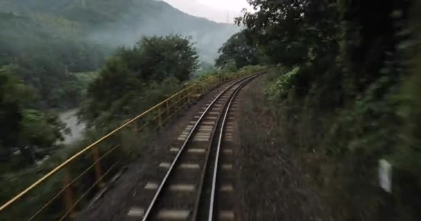 Treinrit naar een kleine Japanse stad, landelijke spoorlijn — Stockvideo