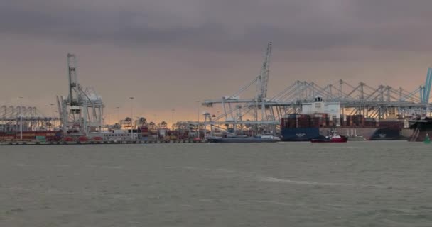 Paseo en barco en el muelle industrial de Rotterdam — Vídeo de stock