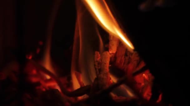 Вогні дерев'яного каміна — стокове відео