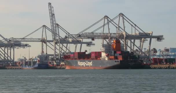 Navios porta-contentores no porto de Roterdão — Vídeo de Stock