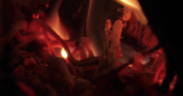 Vlammen van een open haard — Stockvideo