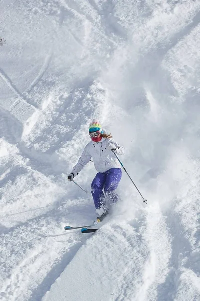 Skiën in verse poedersneeuw — Stockfoto