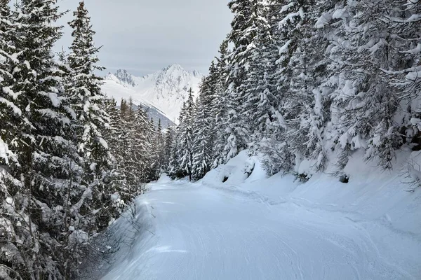 Winter Snowy Mountain Landschap — Stockfoto