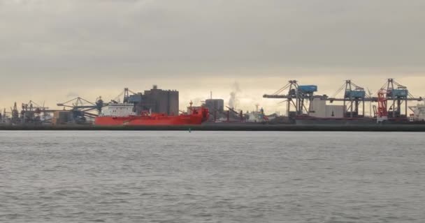 Βιομηχανικά πλοία που πλέουν κοντά στο Ρότερνταμ — Αρχείο Βίντεο
