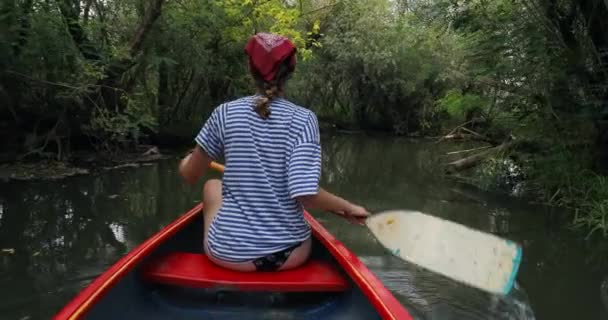 Canoeing on a lake — Stock Video