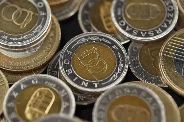 Molte monete 100 fiorino ungherese — Foto Stock