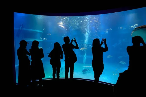 Zeeaquarium met bezoekerssilhouetten — Stockfoto