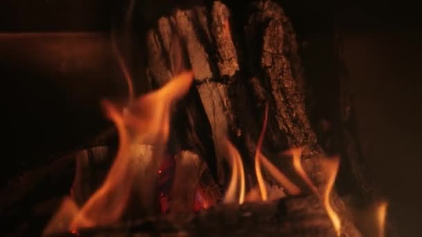 丸太の上の暖炉の炎 — ストック動画