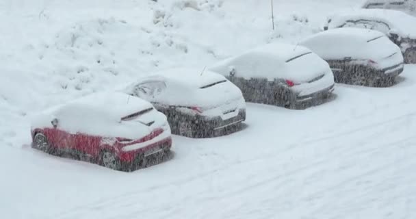 Neige sur les voitures de stationnement en hiver — Video